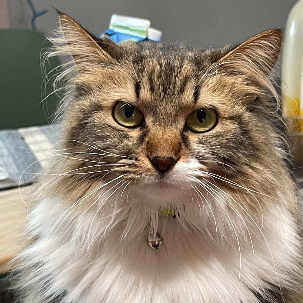 Meet your Posher, Olga